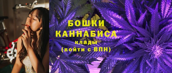 ПСИЛОЦИБИНОВЫЕ ГРИБЫ Медвежьегорск