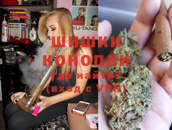 МДПВ Мегион