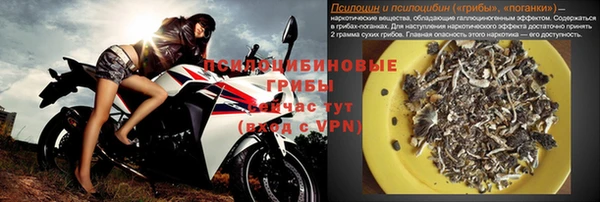 прущие крисы Алапаевск